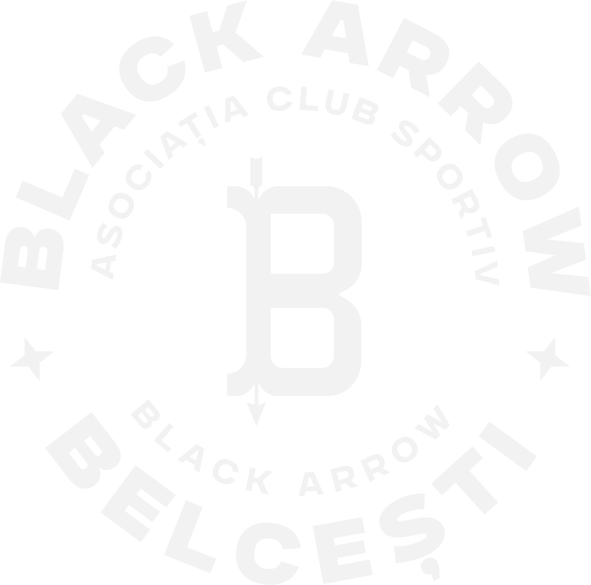 Logo ACS Black Arrow Belcești